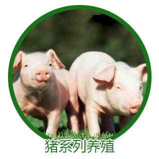 δ(bio)}-1_05.jpg